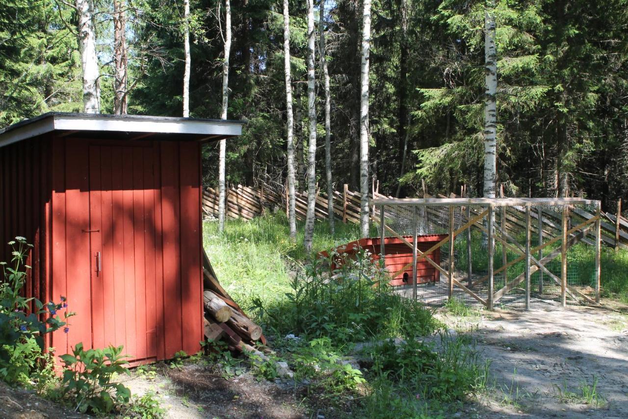 Villa Metsapirtti Kolinkylä Exterior foto